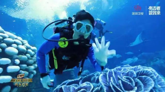 海盗寻宝记